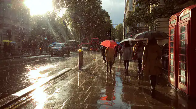 1. Monitor the Weather Closely