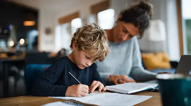 Education and Schools in Selsey