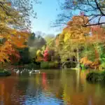 Great Reasons to Start Living in Locks Heath (2026 Guide)