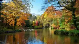 Read more about the article Great Reasons to Start Living in Locks Heath (2026 Guide)