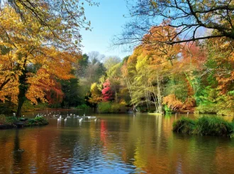 Great Reasons to Start Living in Locks Heath (2026 Guide)