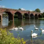 Living in Fareham – 10 Amazing Reasons to Move Here