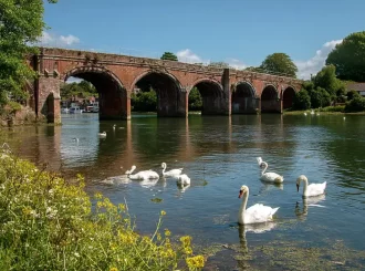 Living in Fareham – 10 Amazing Reasons to Move Here