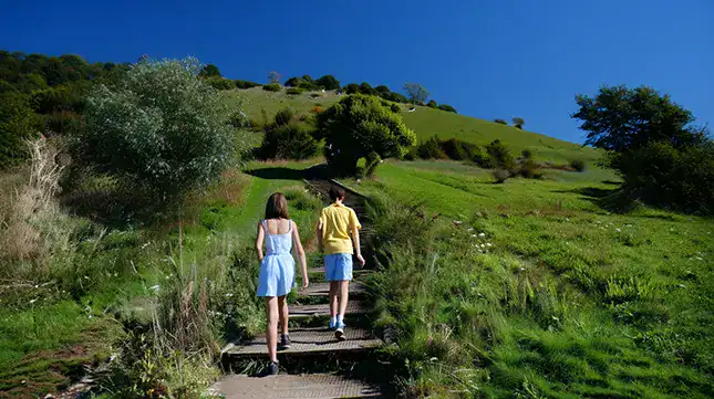 Nature on Your Doorstep South Downs & Beyond