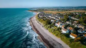 Read more about the article The Ultimate Guide to Living in Selsey