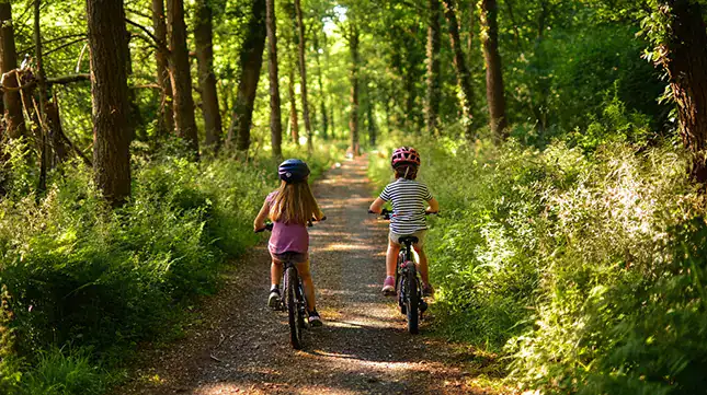 Things to Do From Riverside Walks to Family Days Out