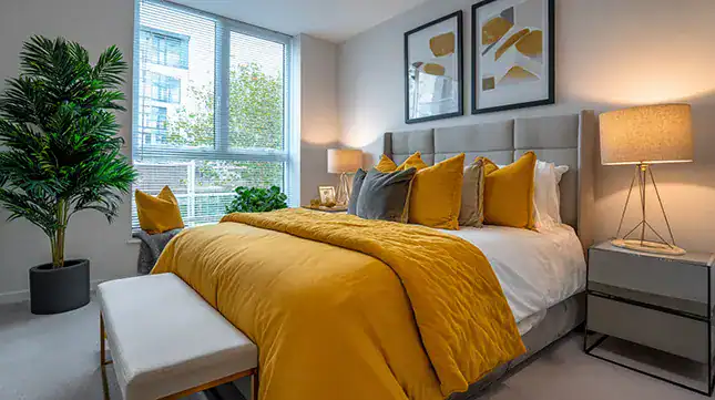 When is a Professional Mover Essential